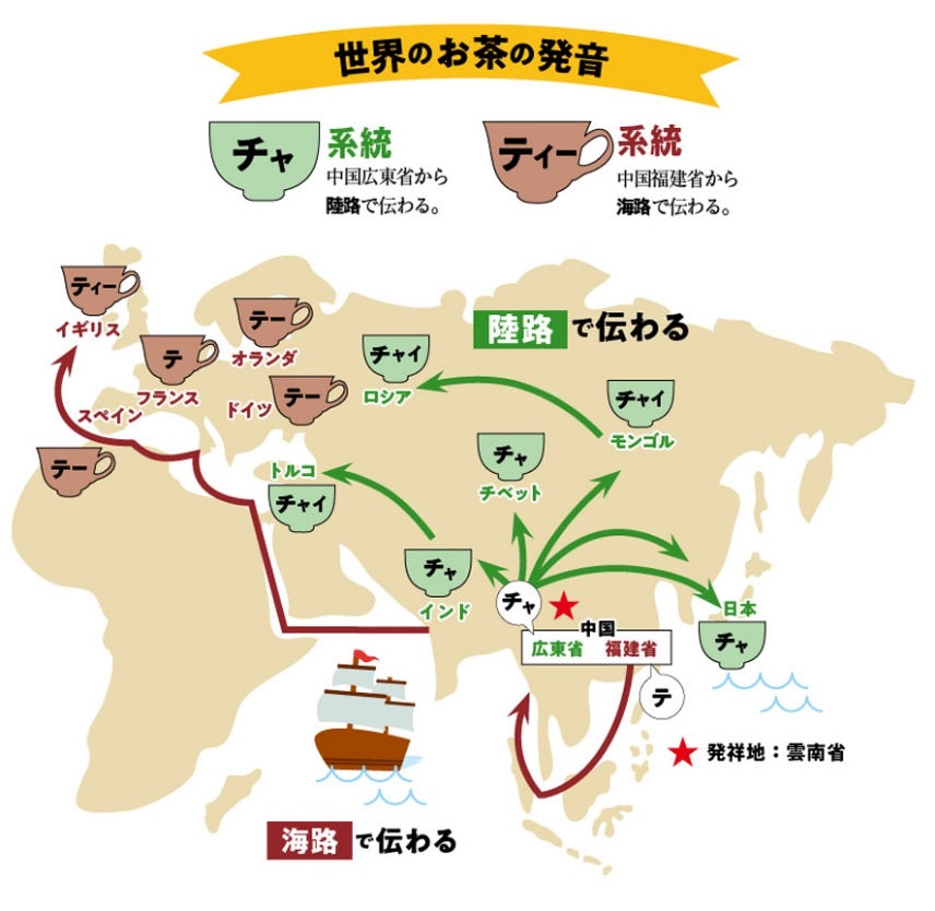 江戸茶寮と「お茶の歴史」―なぜ日本人と外国人に愛されるのか？