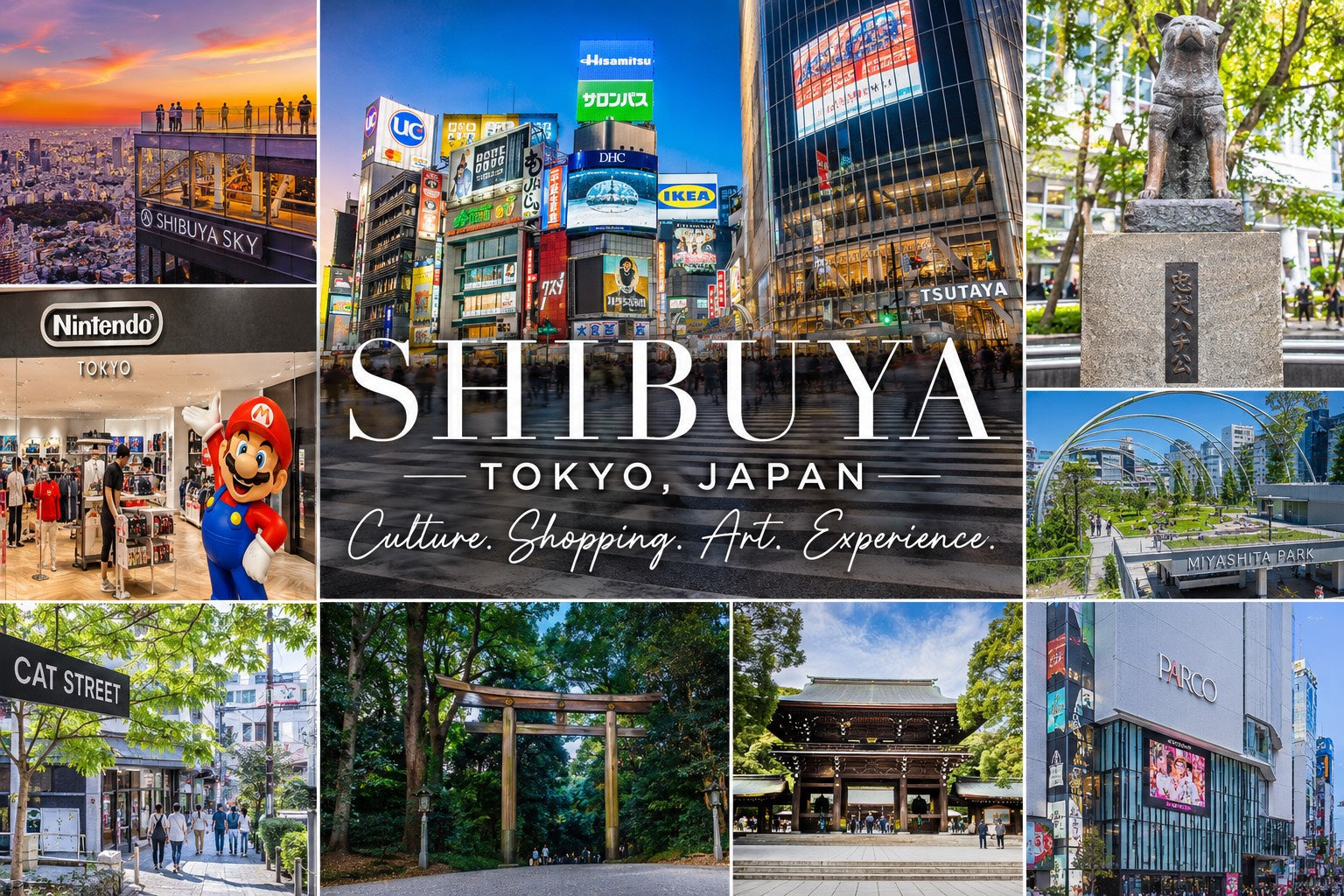 Top 10 Things to Do in Shibuya, Tokyo (2026 Edition) – Featuring Edo Saryo